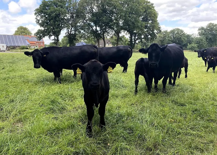 Reihenhaus In Strackholt Mit Beheiztem Pool Apartamento *