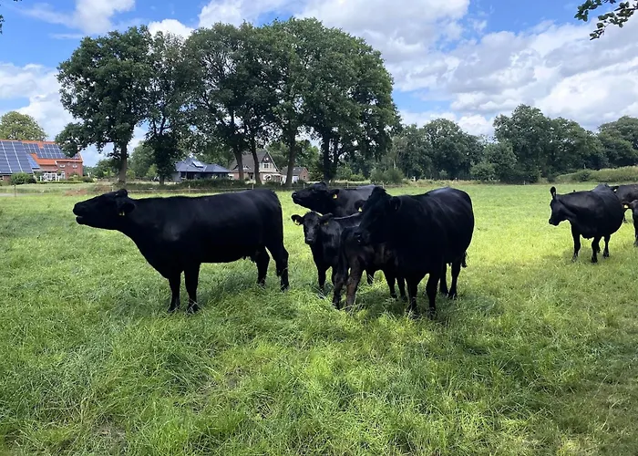 Reihenhaus In Strackholt Mit Beheiztem Pool